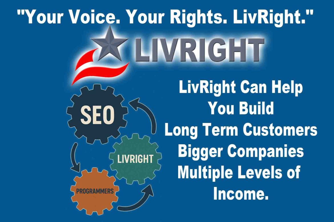 LIVRIGHT SEO PROGRAMMERS 2